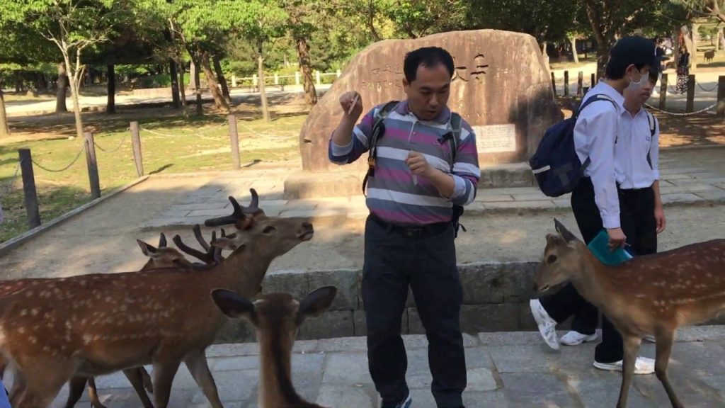 Mark Was Here Invades Japan 🇯🇵