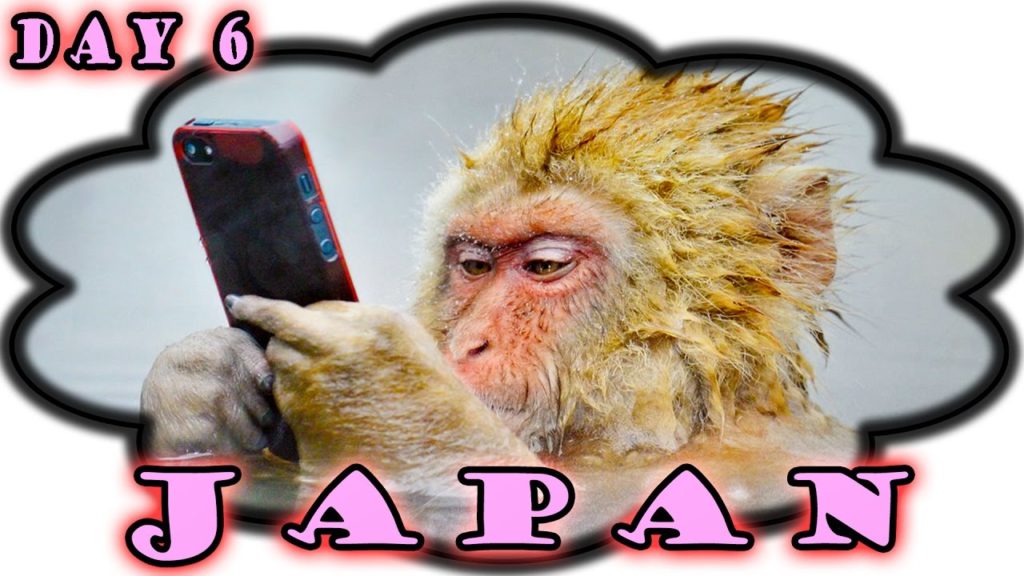 JAPAN SAKURA TRIP ❀ NAGANO | Jigokudani Monkey Park | route to Takayama ❀ Day 6