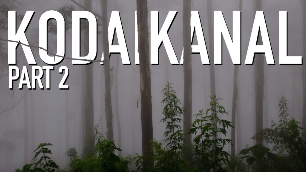 VATTAKANAL Dolphin's Nose + waterfalls in KODAIKANAL - Tamil Nadu travel vlog, INDIA