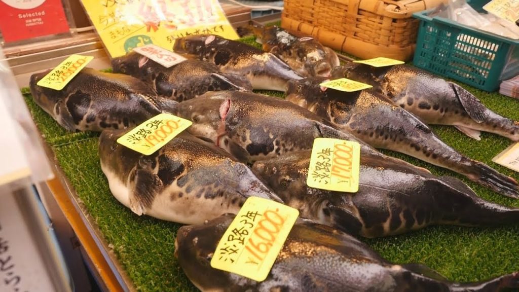 Giant Puffer fish,Giant Mill shellfish sashimi－Japanese Street Food SEAFOOD