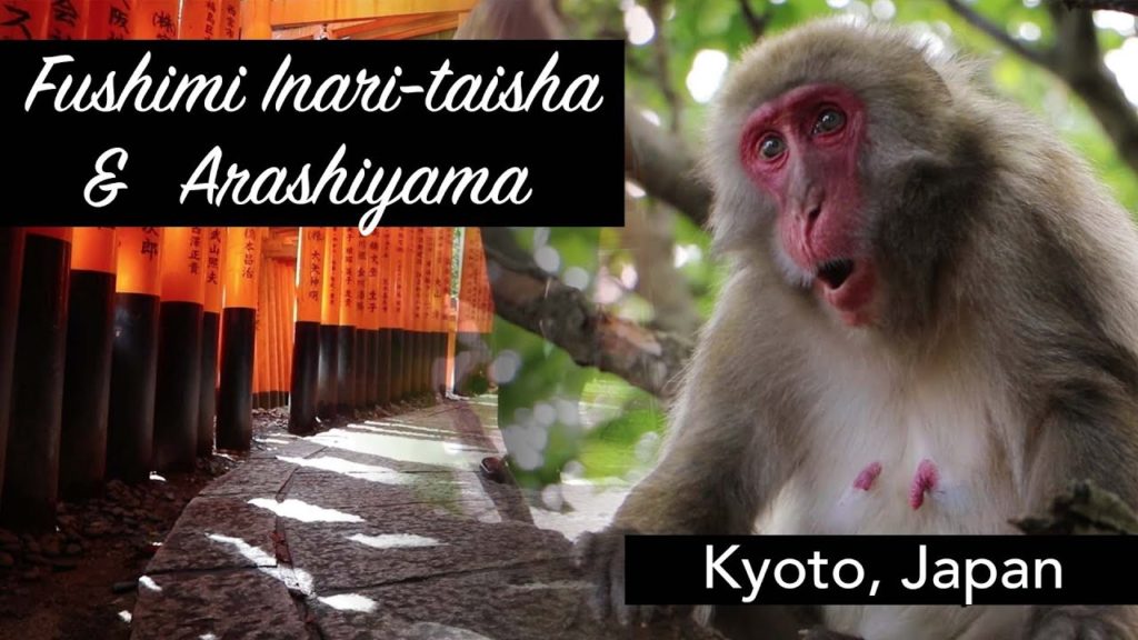 Temples, Trees, & Monkeys! | Fushimi Inari-taisha & Arashiyama | Kyoto | Japan