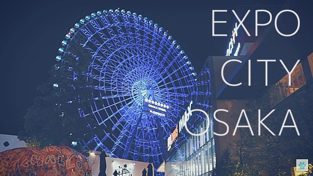 ENG 【暮らしのvlog】 おひとりさまの日常 |KALDI購入品 | RHC CAFE大阪 |