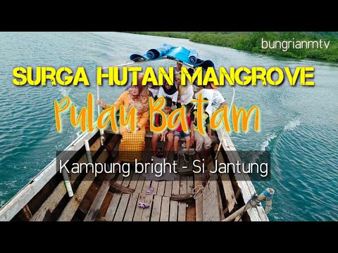 Mangrove Forest | Surga Magrove di Pulau Batam | Kampung Bright – Si Jantung | Galang Pulau Batam Mangrove Forest | Surga Magrove di Pulau Batam | Kampung Bright - Si Jantung | Galang Pulau Batam