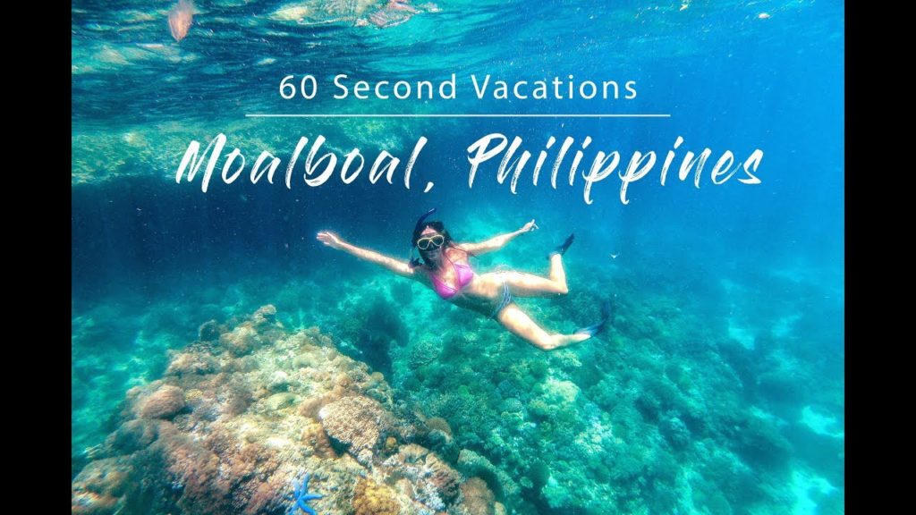 PHILIPPINES MOALBOAL | Diving and Snorkeling