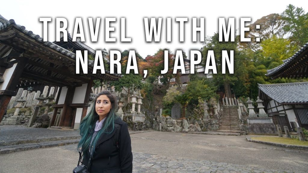 Travel with me: FINALLY VISITING JAPAN! DAY 1 IN NARA | DESIGN BY BRIANNA