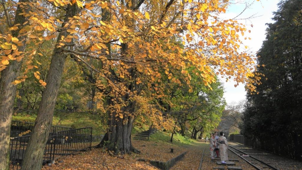 【4K】Kyoto Keage Incline 2019 - 京都 蹴上インクライン | Japan walking guide