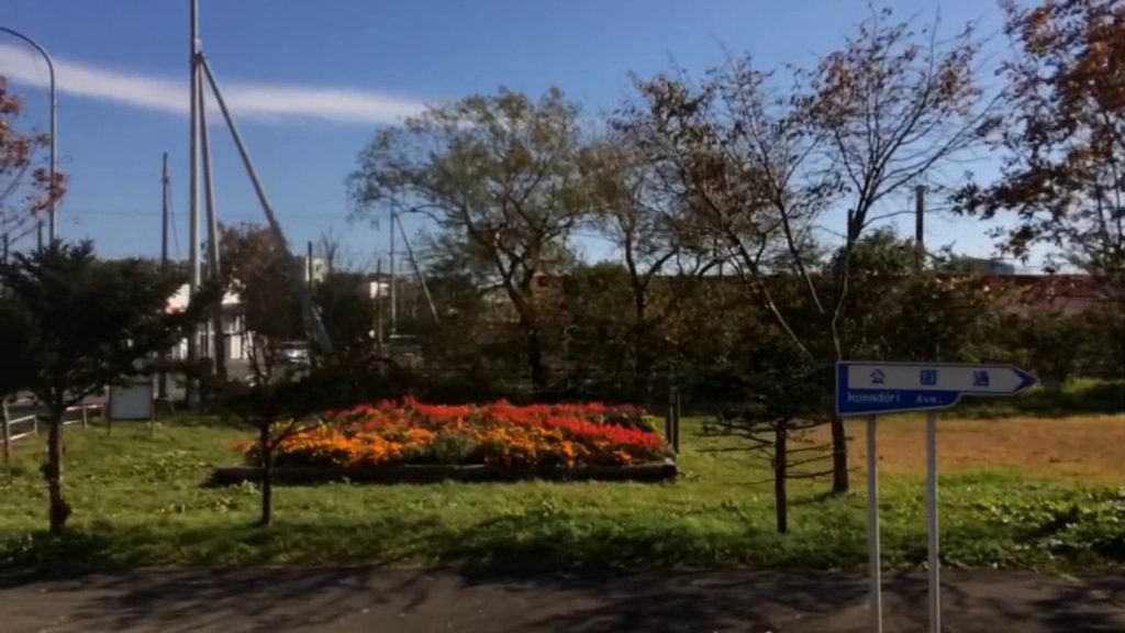 Drive through Shiraoi Iburi Hokkaido Japan (Hyperlapse)
