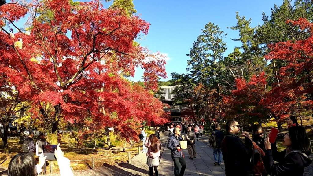 Japan Walking #48 Nanzenji Temple Kyoto Autumn