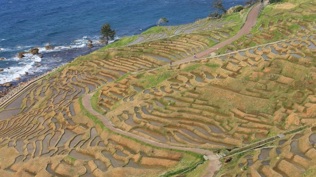 JE 4K 石川 白米千枚田 Shirayone Senmaida,Ishikawa