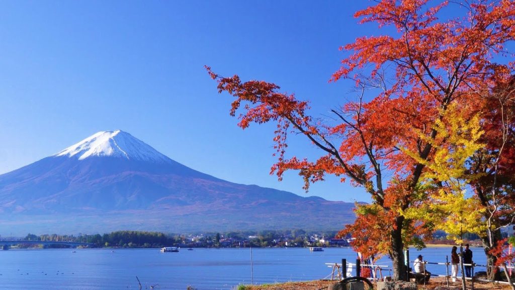 2019 富士河口湖・紅葉まつり[1] / 紅葉まつり前半 [4K]  Fujikawaguchiko Autumn Leaves Festival
