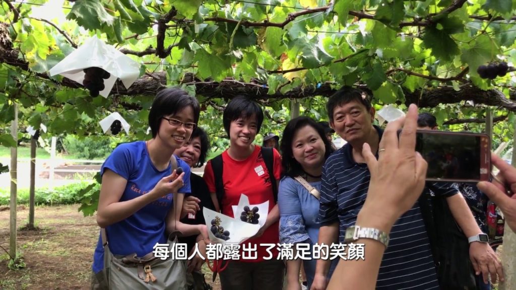 YOKOSO Japan Tour 介紹 --採葡萄&富士山-- C43