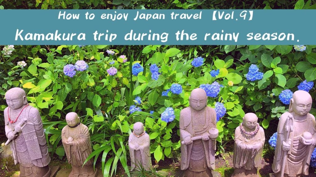 【梅雨の鎌倉に咲く紫陽花】Kamakura trip during the rainy season.