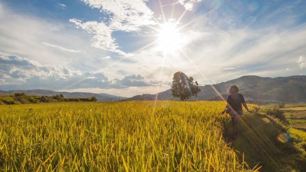BALADE DE RÊVE DANS LES RIZIÈRES (Betafo - Madagascar)