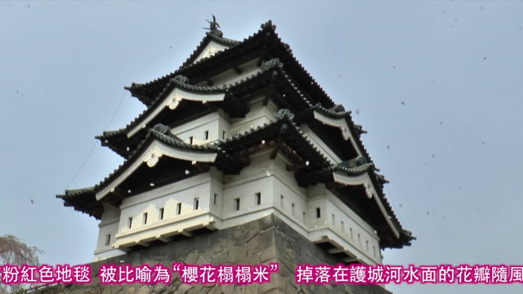 YOKOSO Japan Tour -- 櫻花盛開的弘前公園 --C39