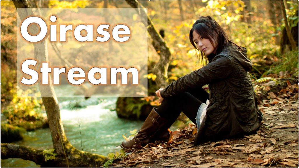 Oirase Stream Complete Guide and Towada Lake Highlights [Latest]