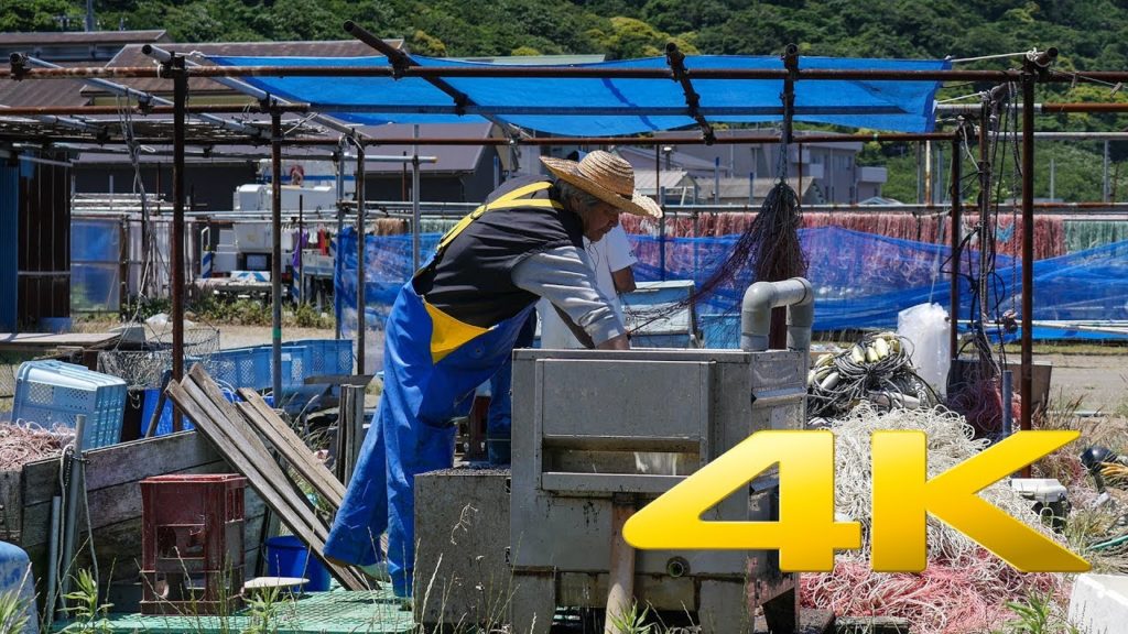 Hashirimizu - Kanagawa - 走水 - 4K Ultra HD