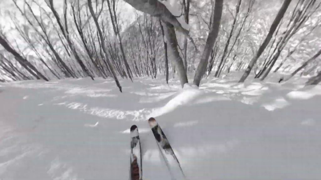 Hakuba Cortina Tree Runs