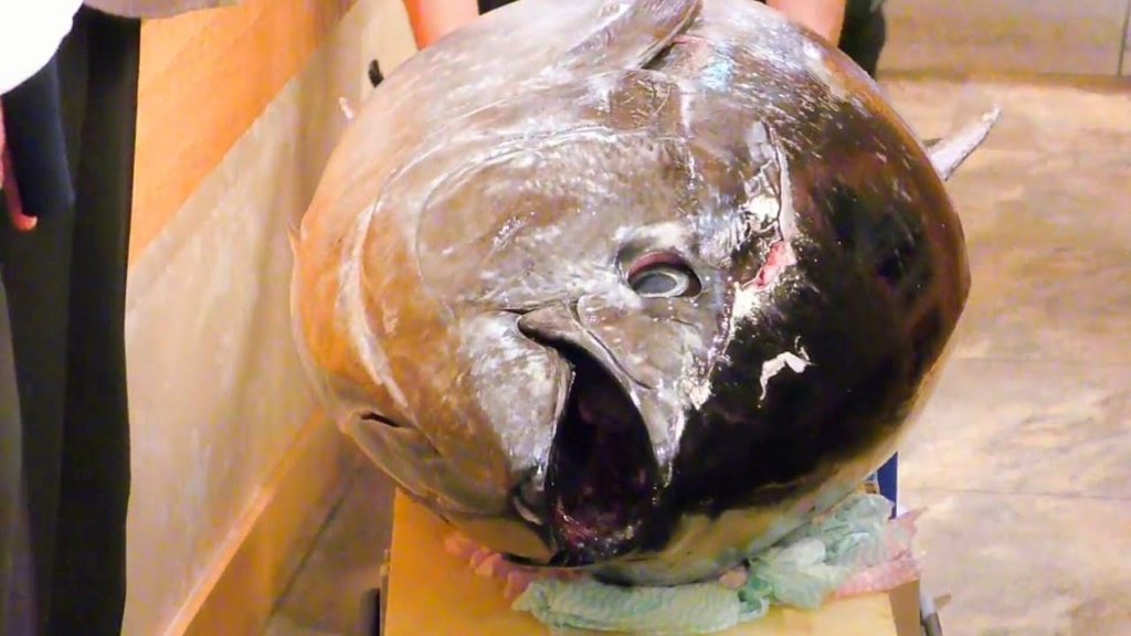 Japanese Food, Tuna Cutting Show, Seafood in Japan.
