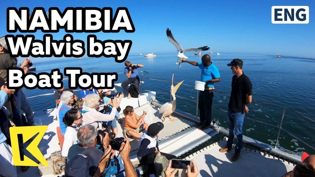 【K】Namibia Travel-Walvis bay[나미비아 여행-월비스베이]보트 투어/Boat tour/Catamaran Charters/Oyster
