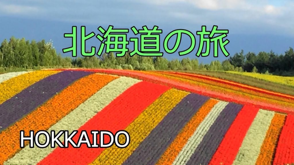 北海道の旅(夏)  美瑛,富良野,旭山動物園, 青い池 ,十勝岳 ,札幌
