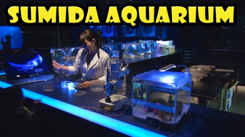 Sumida Aquarium at the Tokyo Skytree