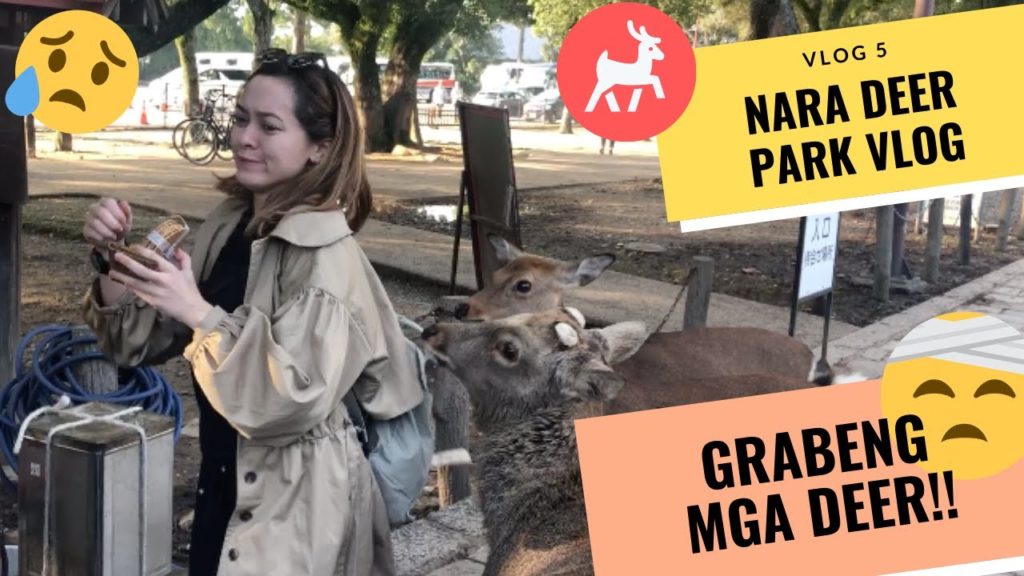 NARA DEER PARK
