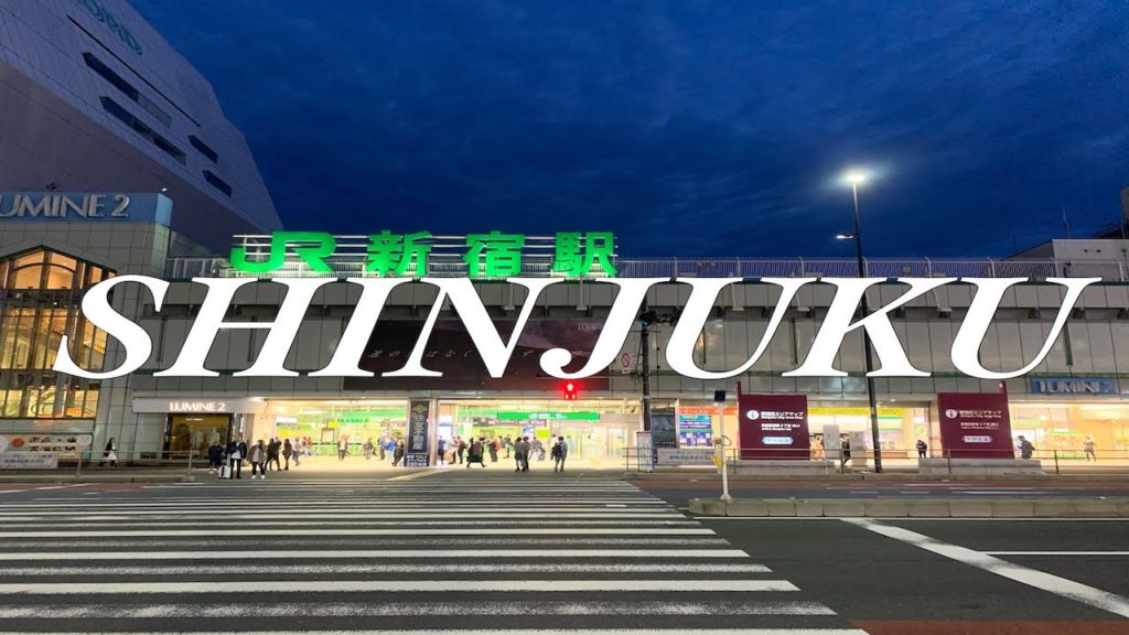 SHINJUKU station 新宿駅周辺散歩 4K SHINJUKU station 新宿駅周辺散歩 4K