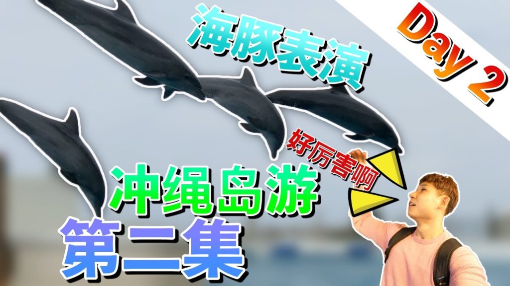 日本冲绳岛6天之旅|Okinawa, Japan Travel Vlog | 第2集 | 古宇利岛|海洋博物馆|超大鲸鱼|精灵水果园|美国村| 日本冲绳岛6天之旅|Okinawa, Japan Travel Vlog | 第2集 | 古宇利岛|海洋博物馆|超大鲸鱼|精灵水果园|美国村|