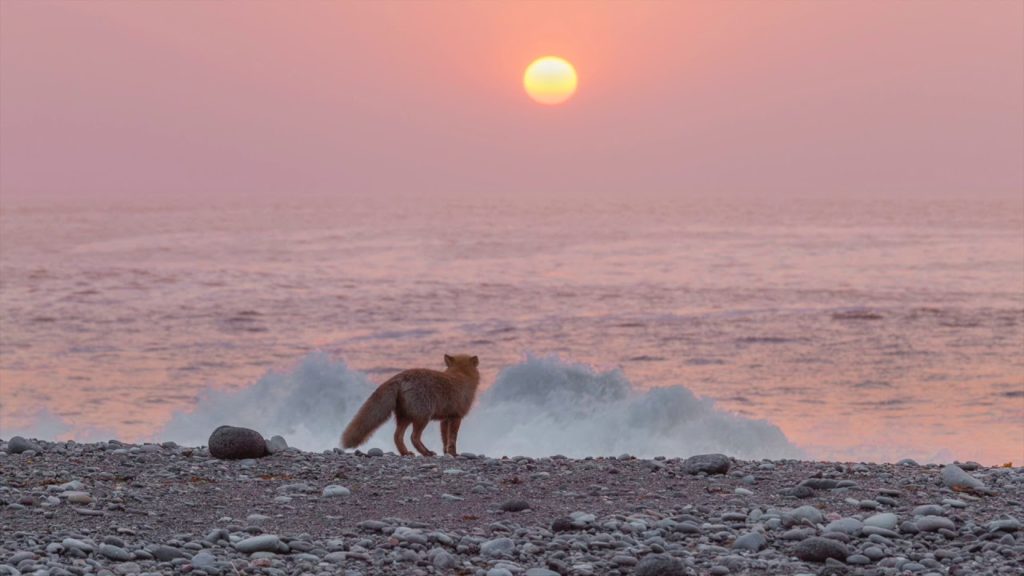 北海道の風景 Japan Hokkaido Travel View