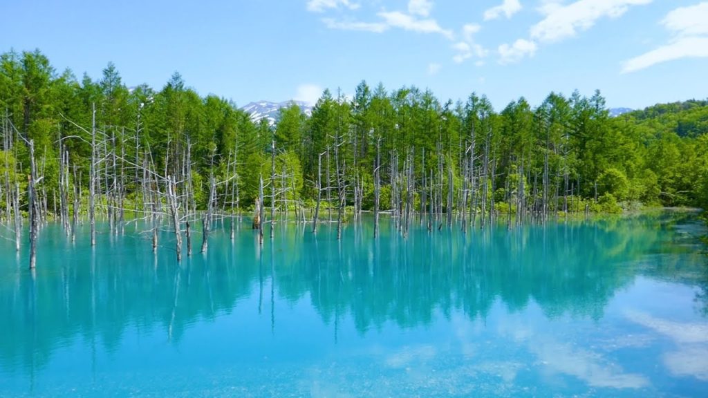 홋카이도 청의호수 - 오빠캠프 1기여행이 끝나다.