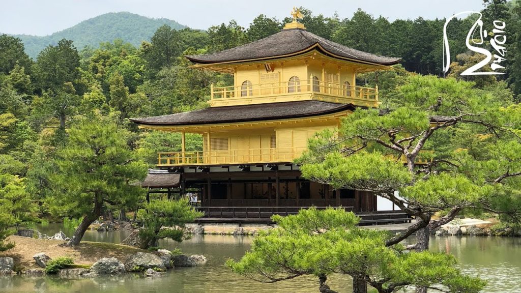 Japan Travel Photo Album Vlog (enjoy)