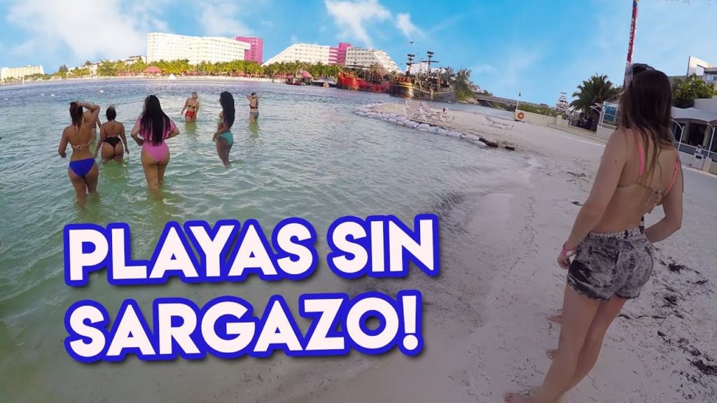 SARGAZO en Cancún - No hay! 😲 (Pasé por una playa nudista)