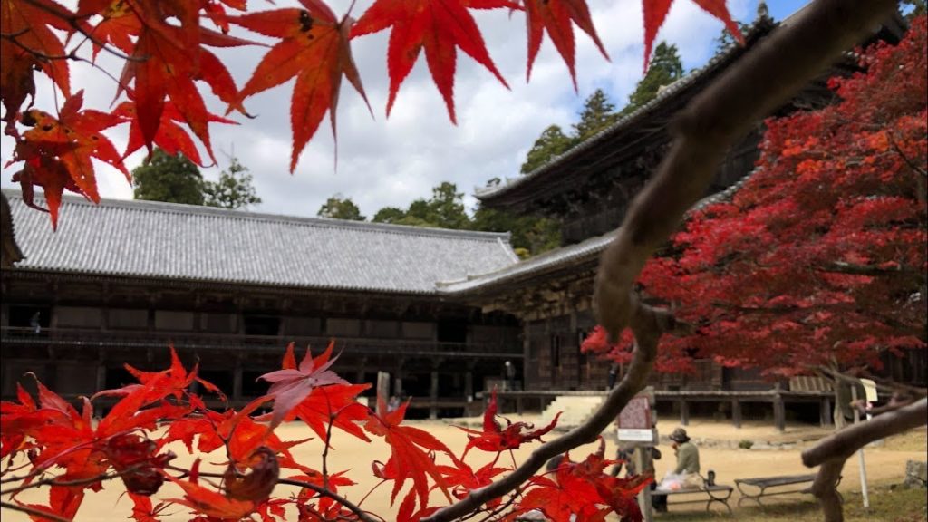 Autumn in japan. Mt.Shosya and temple 秋の書写山  [Travel]