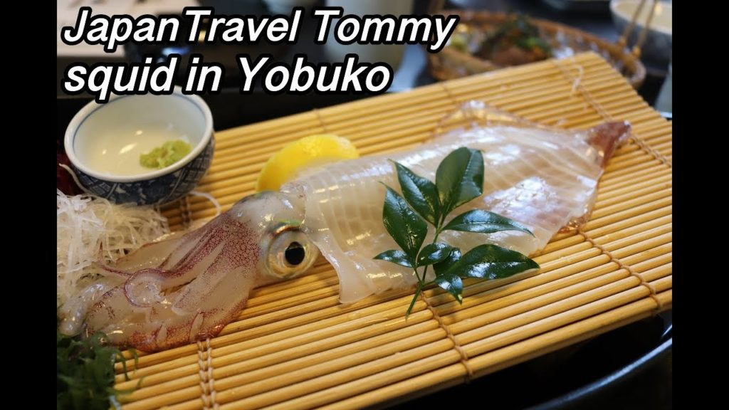 squid in Yobuko(Saga Prefecture)呼子のイカ編~JapanTravel Tommy~