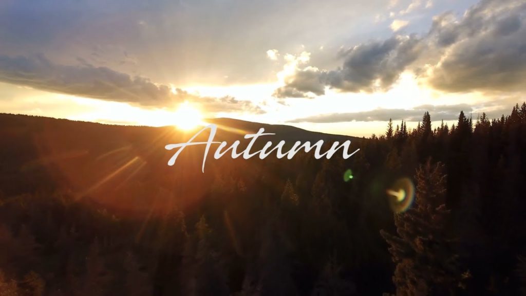 Autumn in Tokyo Cinematic Sigma 18-35