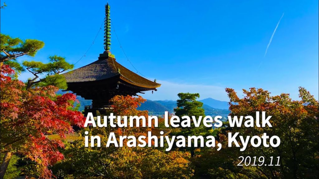 Autumn leaves walk in Arashiyama, Kyoto 2019