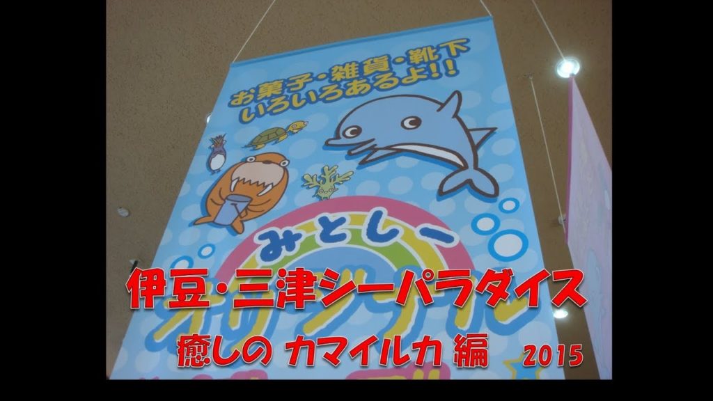 癒しのカマイルカ　伊豆・三津シーパラダイス ( みとしー )