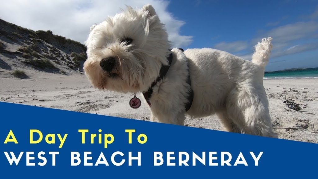 A Day Trip To West Beach Berneray | West Highland And Uist Tour