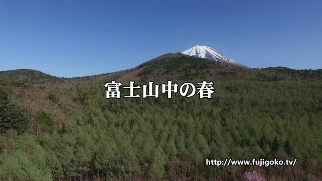 DJI PHANTOM3 go flay over Mount Fuji.