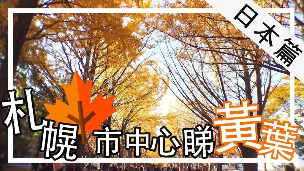 【北海道EP 2】杏林大道秋葉樹廊 【北海道EP 2】杏林大道秋葉樹廊