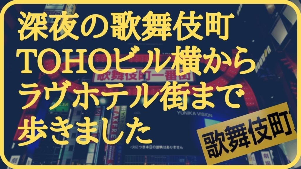 【深夜の歌舞伎町の様子】新宿TOHOビル横からラヴホテル街まで(立ちんぼやキャッチもホスト多いエリア、龍が如くの世界観)Kabukicho,Travel,Tokyo,Guide