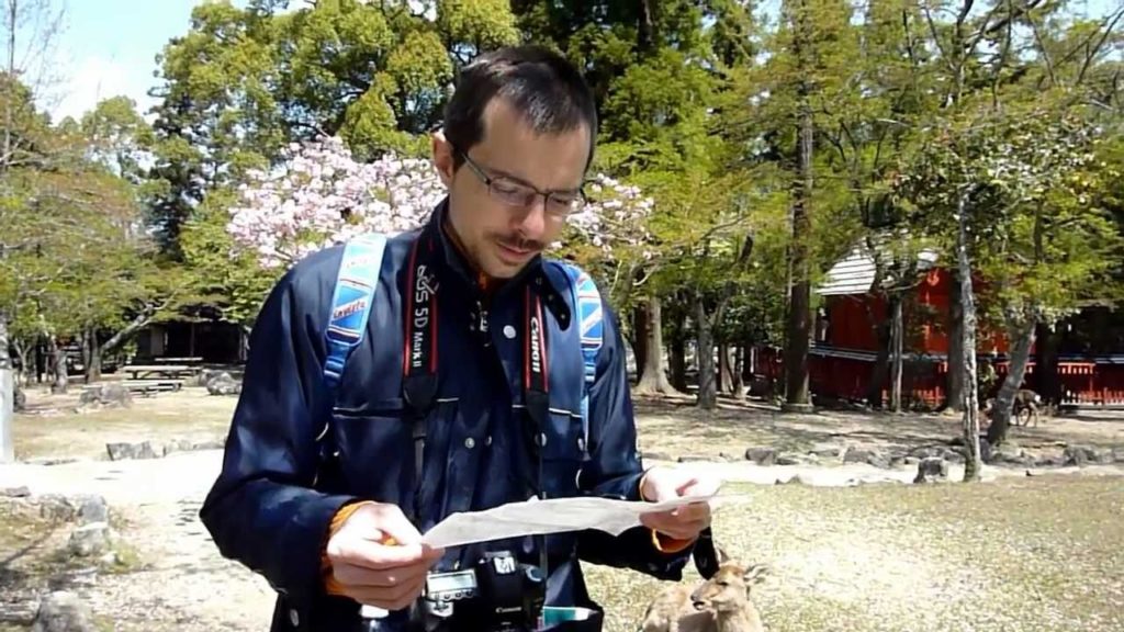 Omoto Park, Miyajima, Itsukushima, Hiroshima, Deers