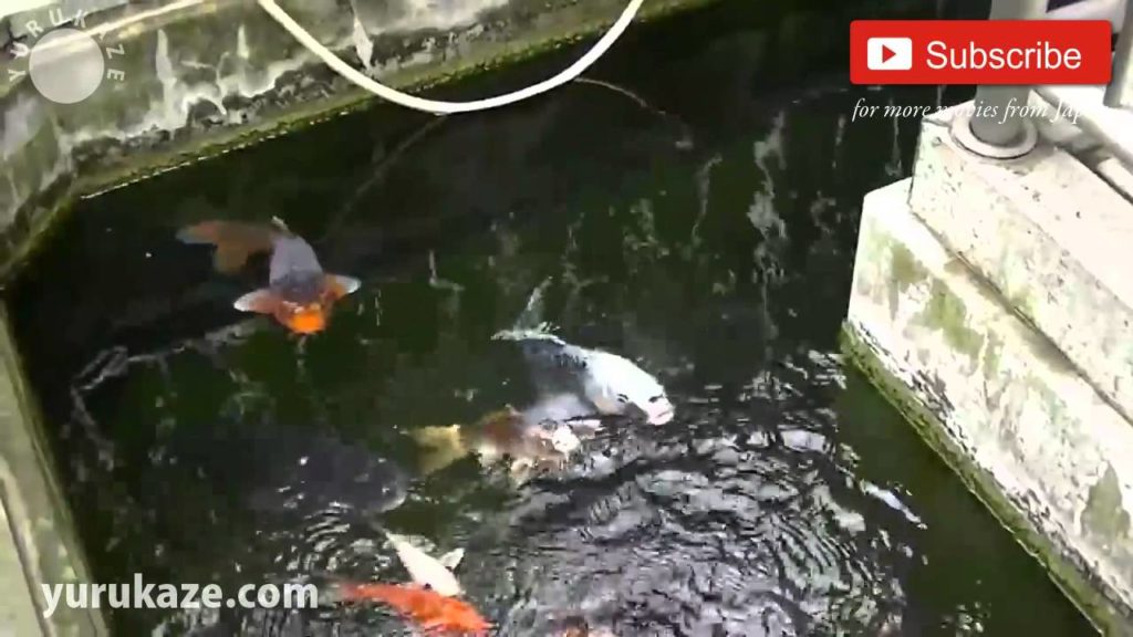 216. Rinkoin Temple - Sendai, Japan