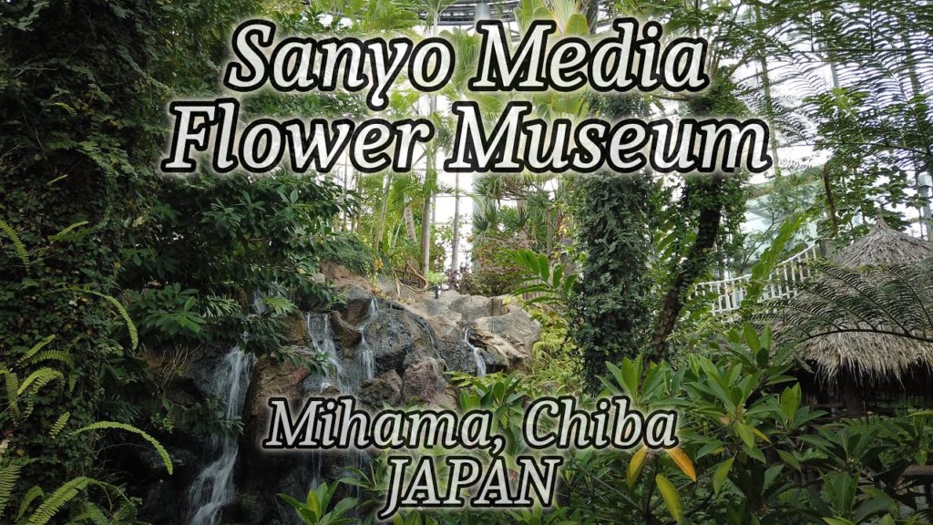 JAPAN - Sanyo Media Flower Museum - Mihama, Chiba (4K) 三陽メディアフラワーミュージアム - 千葉市美浜区