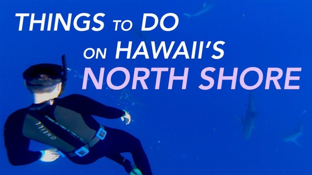 SHARK DIVING IN HAWAII – ONE OCEAN DIVING, HALEIWA, OAHU | HI | Episode 13 SHARK DIVING IN HAWAII - ONE OCEAN DIVING, HALEIWA, OAHU | HI | Episode 13