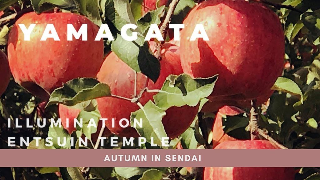 Autumn in Sendai : EP2 Yamagata & Entsuin Temple