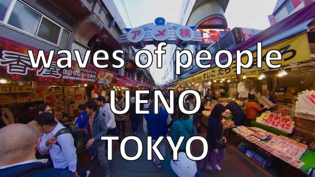 JAPAN Tokyo Travel, Recommend shopping street in Tokyo Ueno Ameyoko [ insta 360 ONE X ]