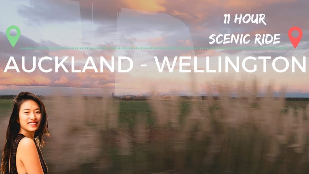 Auckland to Wellington (11 hr Scenic Bus Ride VLOG)