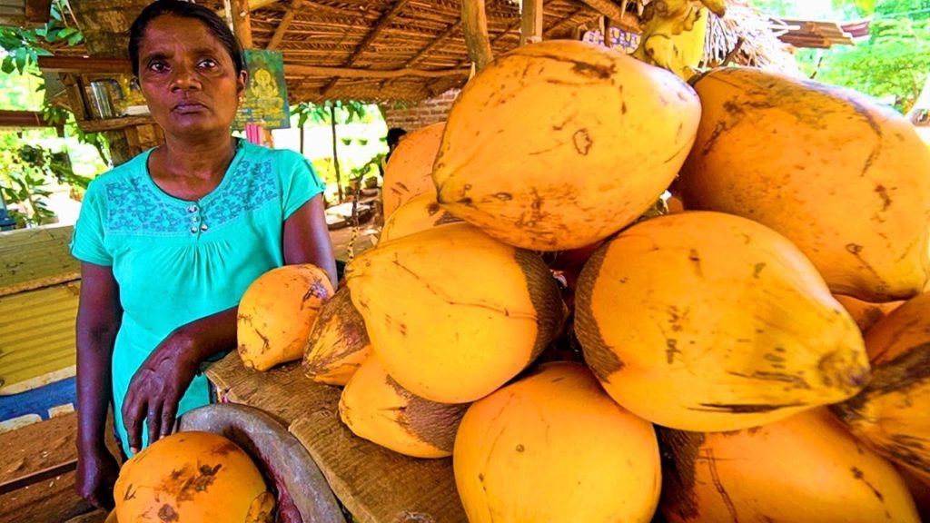 SRI LANKA STREET FOOD – King of Coconuts!! HUNGRY SRI LANKAN Food Trip to Anuradhapura! SRI LANKA STREET FOOD - King of Coconuts!! HUNGRY SRI LANKAN Food Trip to Anuradhapura!
