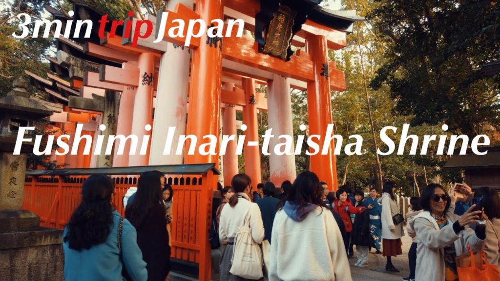 【3min trip Kyoto】Fushimi Inari-taisha Shrine 伏見稲荷大社 November 2019